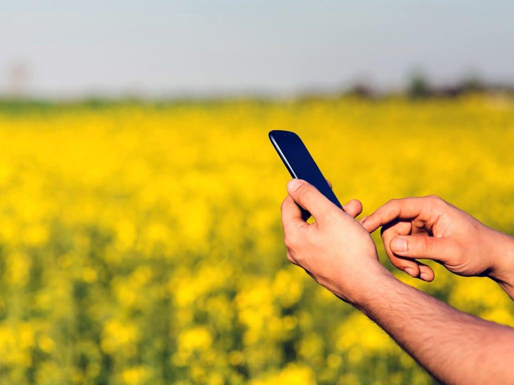 Phone on the field (c) CC0 Public Domain / Pixabay.com Phone on the field